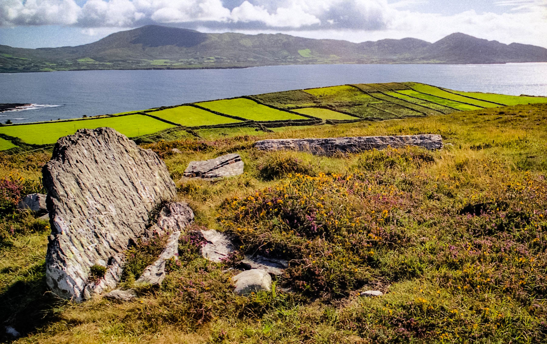 Beara Halbinsel Urlaub auf der Beara Halbinsel